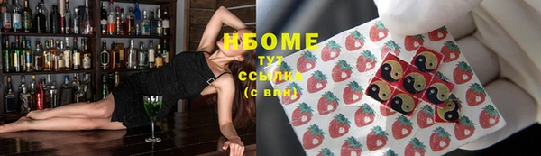 индика Алзамай
