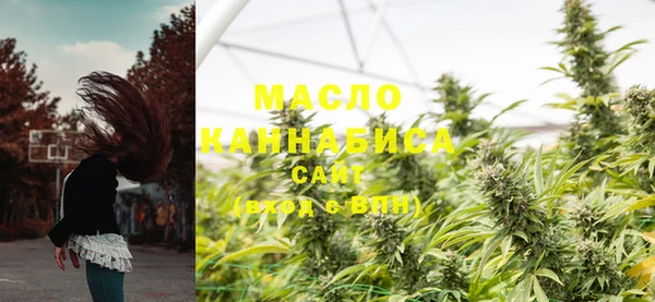 дмт Абинск