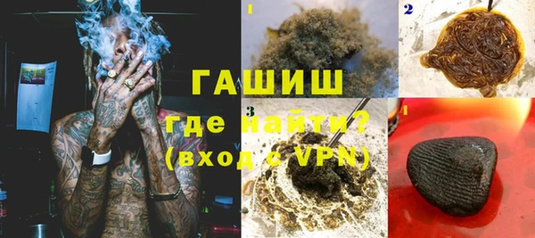 индика Алзамай