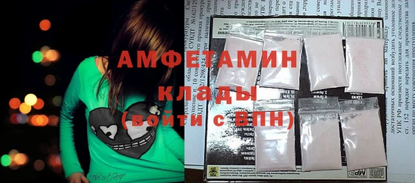 индика Алзамай