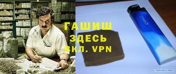 индика Алзамай
