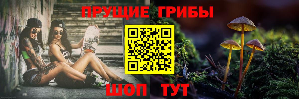 Галлюциногенные грибы ЛСД Саки