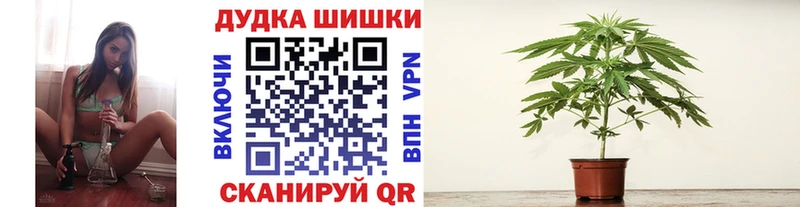 как найти наркотики  Саки  Конопля тримм 